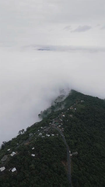Vertical Aerial View of Cloud Covered Hills in Meghalaya, India
