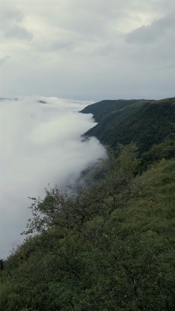 Vertical Aerial View of Cloud Covered Hills in Meghalaya, India