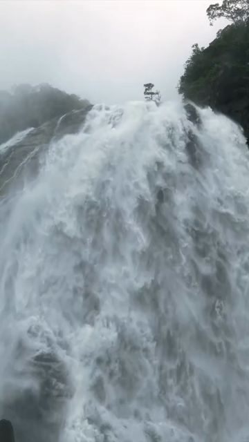 Vertical Aerial View of Dudhsagar Waterfall Surrounded by Lush Forest in Goa India