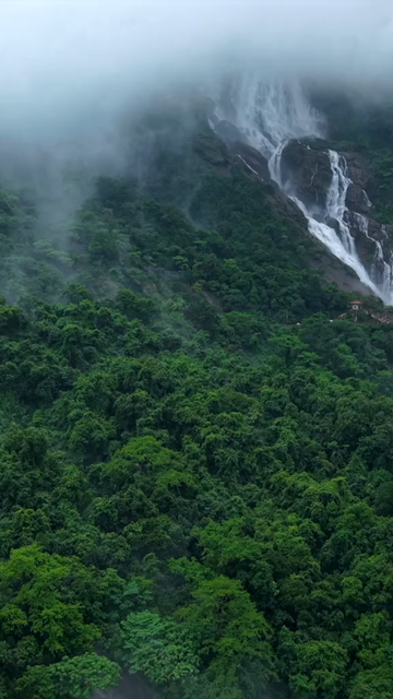 Vertical Aerial View of Dudhsagar Waterfall Surrounded by Lush Forest in Goa India