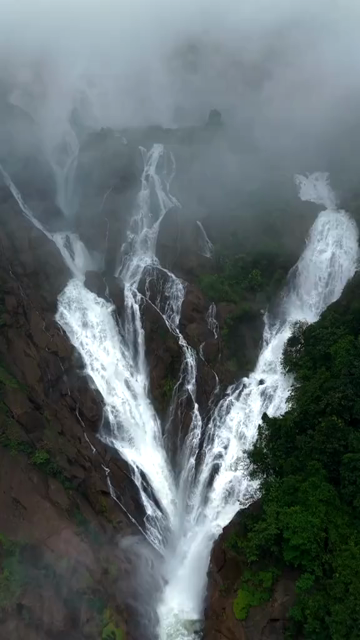 Vertical Aerial View of Dudhsagar Waterfall Surrounded by Lush Forest in Goa India