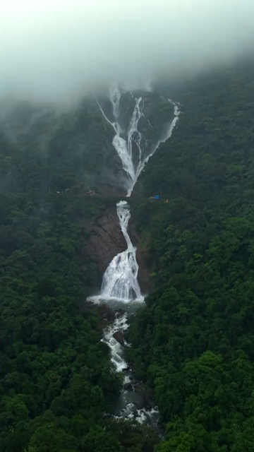 Vertical Aerial View of Dudhsagar Waterfall Surrounded by Lush Forest in Goa India