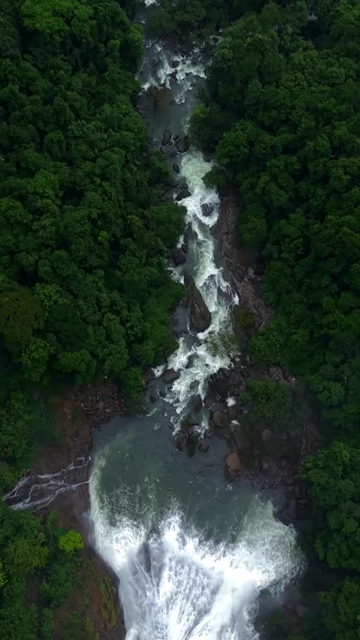 Vertical Aerial View of Dudhsagar Waterfall Surrounded by Lush Forest in Goa India