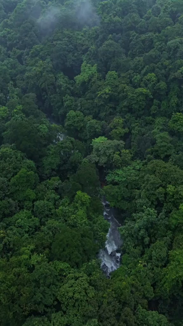 Vertical Aerial View of Dudhsagar Waterfall Surrounded by Lush Forest in Goa India