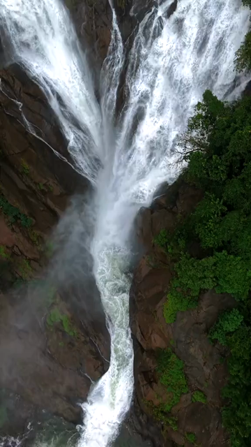 Vertical Aerial View of Dudhsagar Waterfall Surrounded by Lush Forest in Goa India