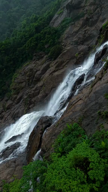 Vertical Aerial View of Dudhsagar Waterfall Surrounded by Lush Forest in Goa India