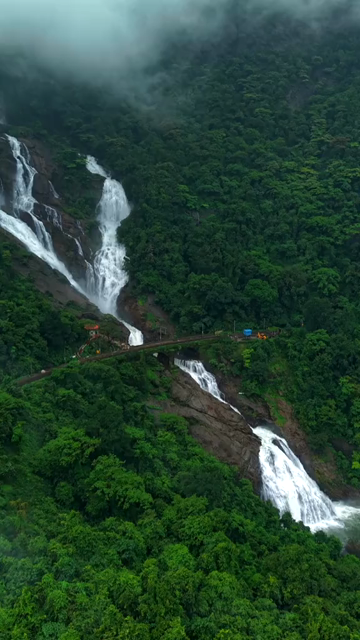 Vertical Aerial View of Dudhsagar Waterfall Surrounded by Lush Forest in Goa India