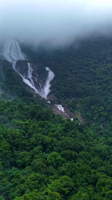 Vertical Aerial View of Dudhsagar Waterfall Surrounded by Lush Forest in Goa India