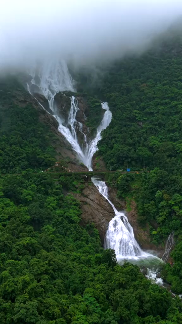 Vertical Aerial View of Dudhsagar Waterfall Surrounded by Lush Forest in Goa India