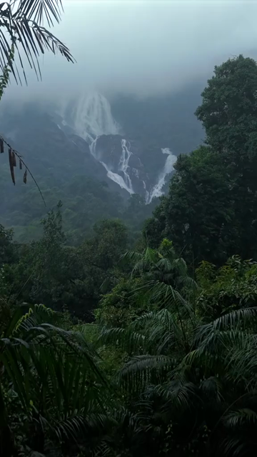 Vertical Aerial View of Dudhsagar Waterfall Surrounded by Lush Forest in Goa India