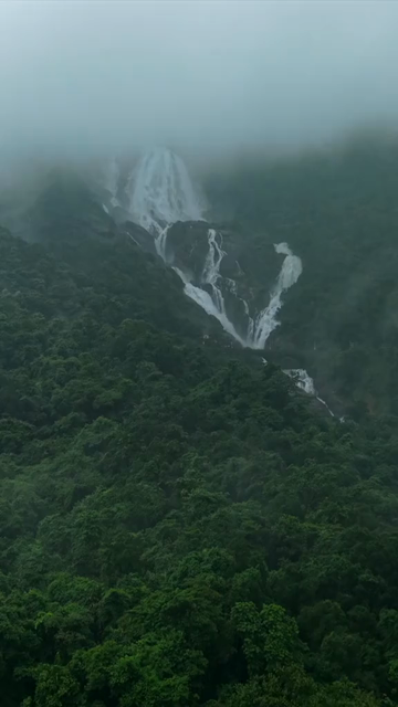 Vertical Aerial View of Dudhsagar Waterfall Surrounded by Lush Forest in Goa India