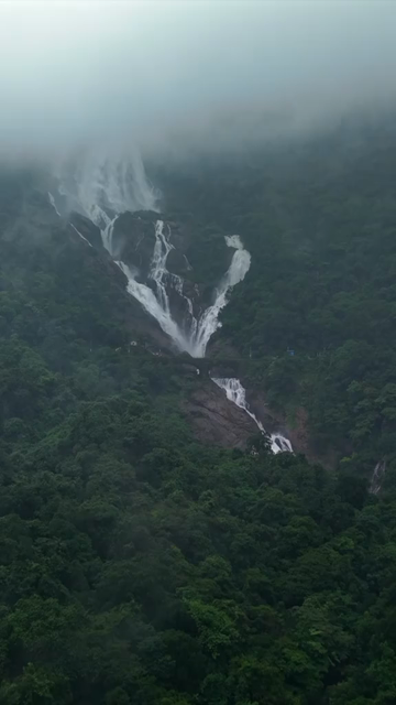 Vertical Aerial View of Dudhsagar Waterfall Surrounded by Lush Forest in Goa India