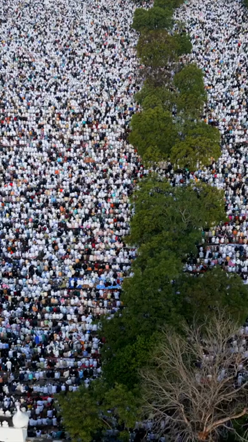 Vertical Aerial View of Eid Prayers at Taj-ul-Masajid, Bhopal, India