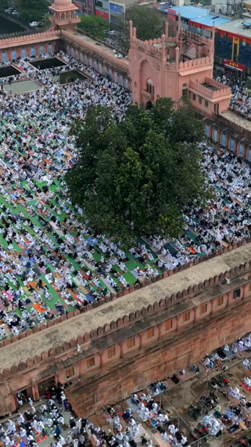 Vertical Aerial View of Eid Prayers at Taj-ul-Masajid, Bhopal, India