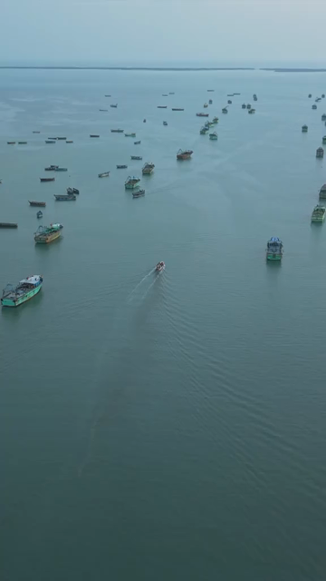 Vertical Aerial View of Fishing Boats Near Pamban Bridge Tamil Nadu India