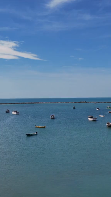 Vertical Aerial View of Fishing Boats at Pamban Harbour Rameswaram Tamil Nadu India