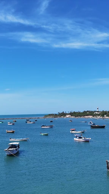 Vertical Aerial View of Fishing Boats at Pamban Harbour Rameswaram Tamil Nadu India