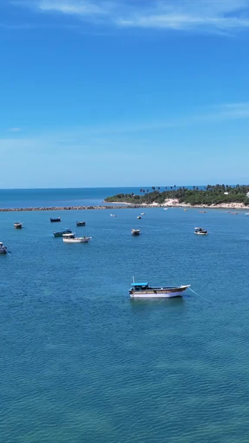 Vertical Aerial View of Fishing Boats at Pamban Harbour Rameswaram Tamil Nadu India