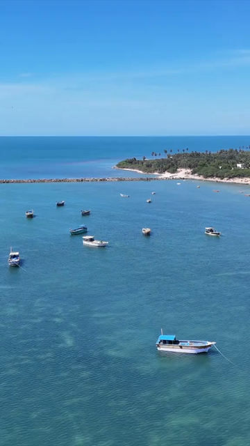 Vertical Aerial View of Fishing Boats at Pamban Harbour Rameswaram Tamil Nadu India