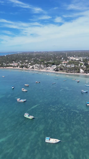 Vertical Aerial View of Fishing Boats at Pamban Harbour Rameswaram Tamil Nadu India