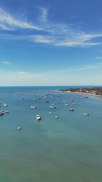 Vertical Aerial View of Fishing Boats at Pamban Harbour Rameswaram Tamil Nadu India