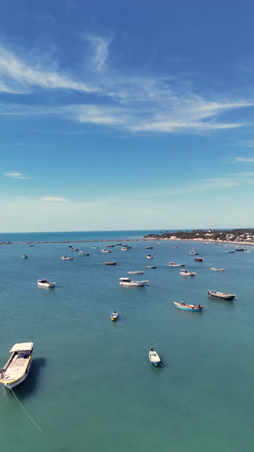 Vertical Aerial View of Fishing Boats at Pamban Harbour Rameswaram Tamil Nadu India