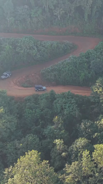 Vertical Aerial View of Forest Hills in Lambasingi, Andhra Pradesh, India