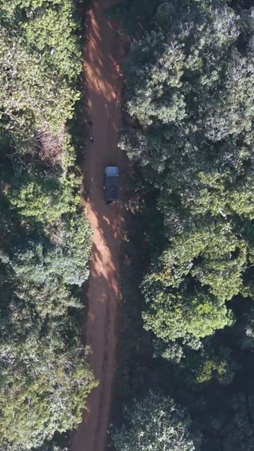 Vertical Aerial View of Forest Hills in Lambasingi, Andhra Pradesh, India
