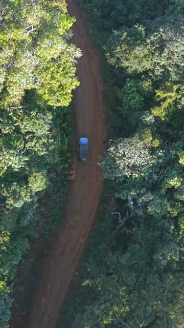 Vertical Aerial View of Forest Hills in Lambasingi, Andhra Pradesh, India