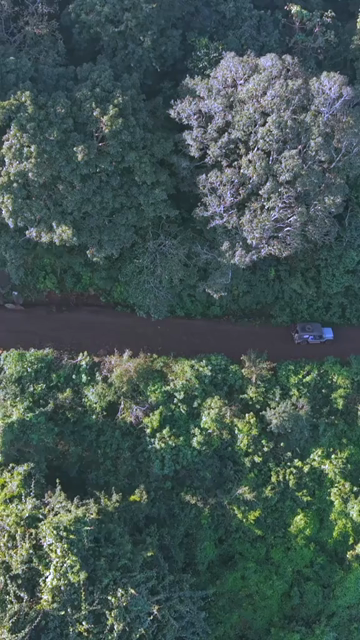 Vertical Aerial View of Forest Hills in Lambasingi, Andhra Pradesh, India