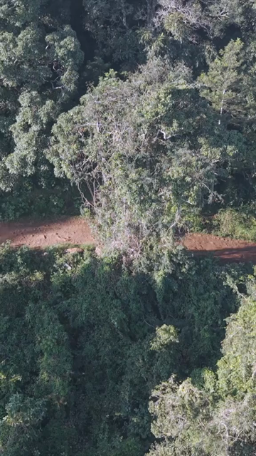 Vertical Aerial View of Forest Hills in Lambasingi, Andhra Pradesh, India