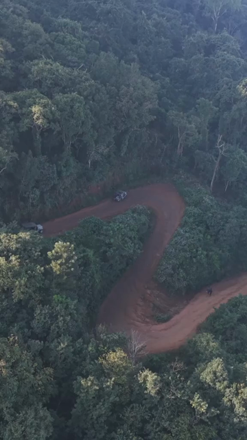 Vertical Aerial View of Forest Hills in Lambasingi, Andhra Pradesh, India
