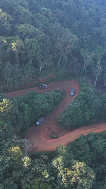 Vertical Aerial View of Forest Hills in Lambasingi, Andhra Pradesh, India