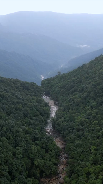 Vertical Aerial View of Forest River Valley in Meghalaya, India