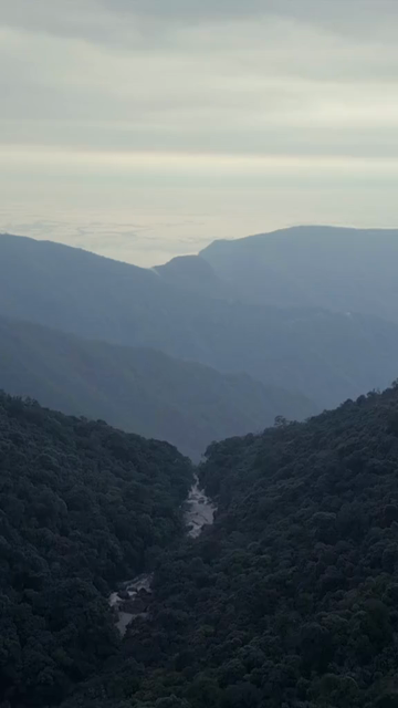 Vertical Aerial View of Forest River Valley in Meghalaya, India