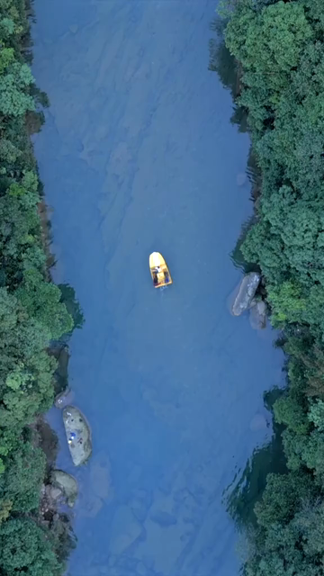 Vertical Aerial View of Forest River Valley in Meghalaya, India