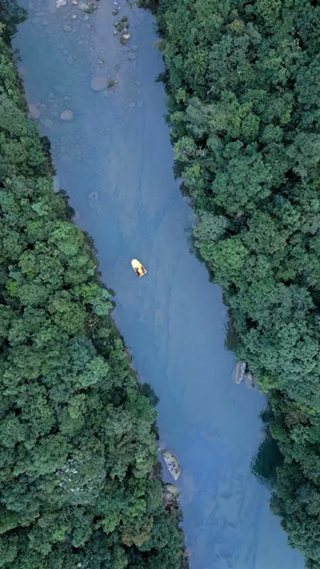 Vertical Aerial View of Forest River Valley in Meghalaya, India