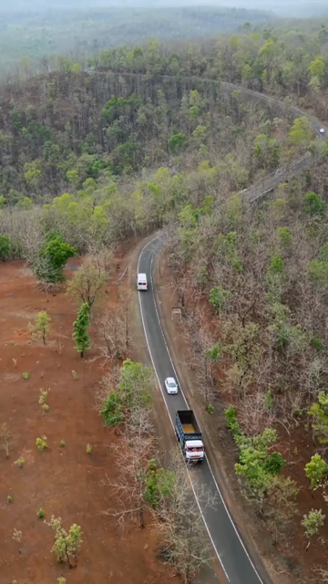 Vertical Aerial View of Forest Road Near Bhopal, Madhya Pradesh, India