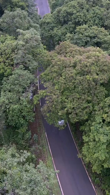 Vertical Aerial View of Forest Road in Karnataka India