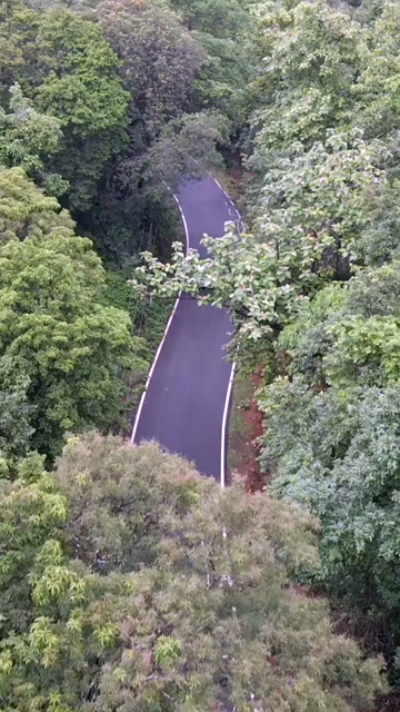 Vertical Aerial View of Forest Road in Karnataka India