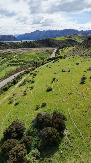 Vertical Aerial View of Glendhu Bay and Lake Wanaka New Zealand