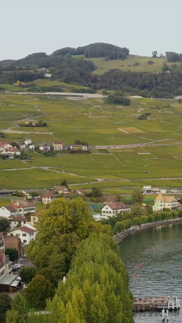 Vertical Aerial View of Grindelwald Village Switzerland