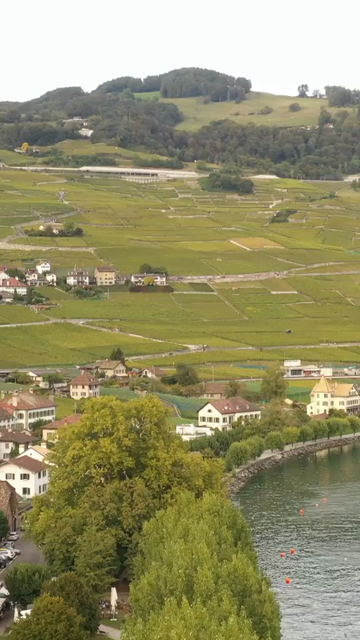 Vertical Aerial View of Grindelwald Village Switzerland