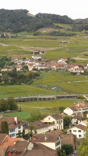 Vertical Aerial View of Grindelwald Village Switzerland