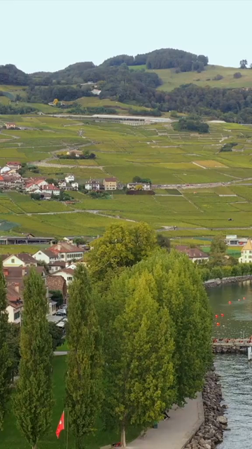Vertical Aerial View of Grindelwald Village Switzerland