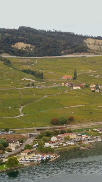 Vertical Aerial View of Grindelwald Village Switzerland