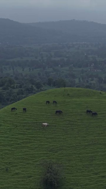 Vertical Aerial View of Gudhe Panchgani Plateau and Lush Green Sahyadri Hills Sangli Maharashtra
