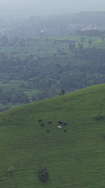 Vertical Aerial View of Gudhe Panchgani Plateau and Lush Green Sahyadri Hills Sangli Maharashtra