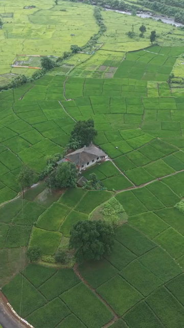 Vertical Aerial View of Lush Green Hills and Winding Roads in Ratnagiri Maharashtra India