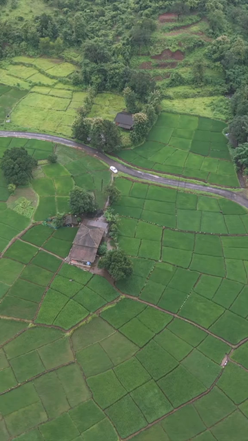 Vertical Aerial View of Lush Green Hills and Winding Roads in Ratnagiri Maharashtra India